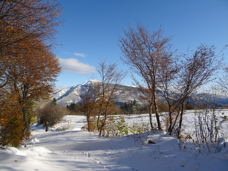 prime escursioni sulla neve....autunno  2019